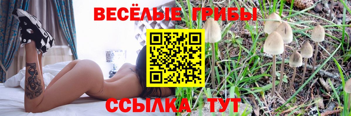 Галлюциногенные грибы MAGIC MUSHROOMS Хасавюрт